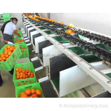 Ligne de production de gelée de confiture de fruits